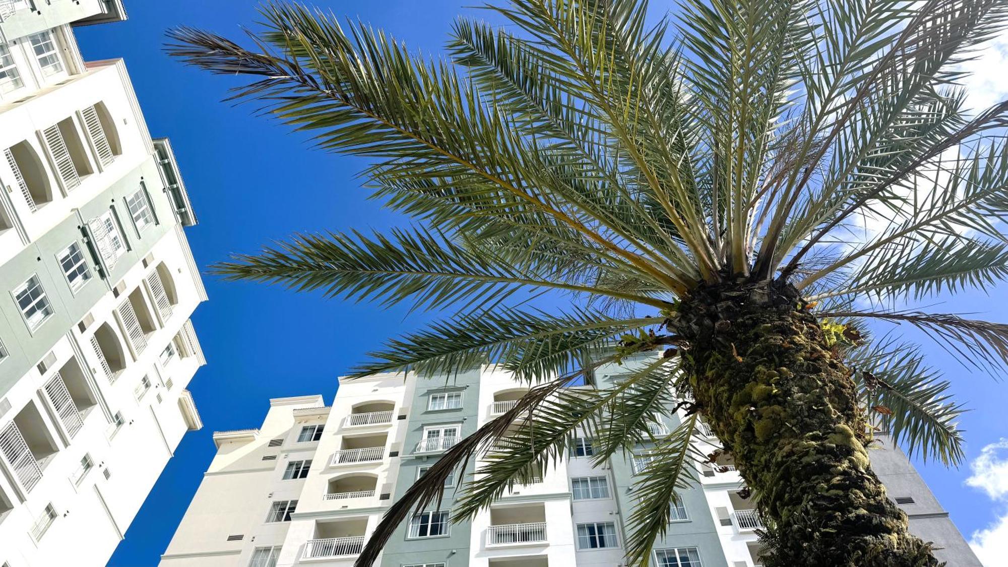 The Point Hotel & Suites Universal Orlando Zewnętrze zdjęcie